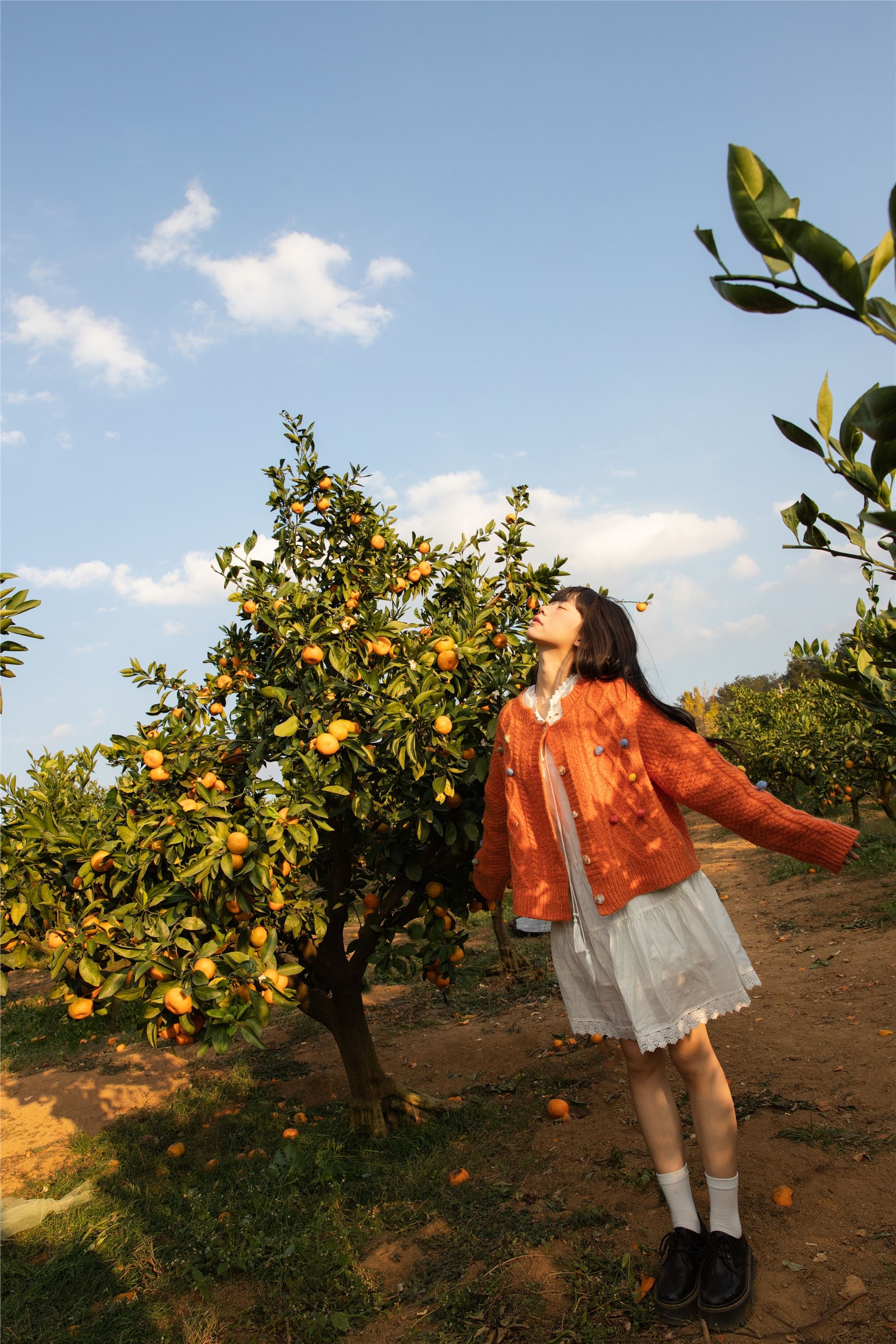 YITUYU艺图语 2025.02.03 橘子辉煌 是三金呀